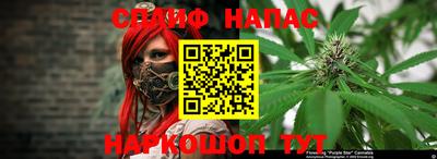 дмт Краснознаменск